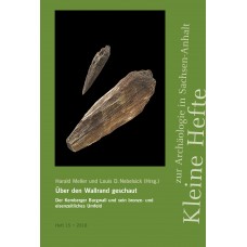 Über den Wallrand geschaut. Der Kemberger Burgwall und sein bronze- und eisenzeitliches Umfeld